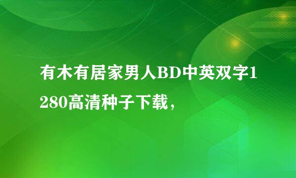 有木有居家男人BD中英双字1280高清种子下载，