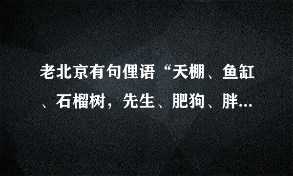 老北京有句俚语“天棚、鱼缸、石榴树，先生、肥狗、胖丫头”。这句话的详细解释