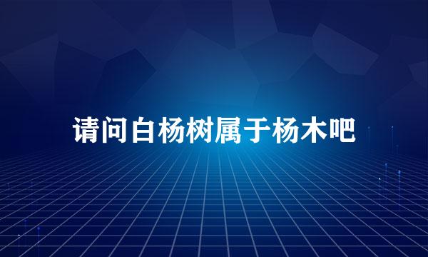 请问白杨树属于杨木吧