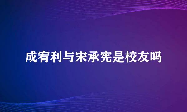 成宥利与宋承宪是校友吗