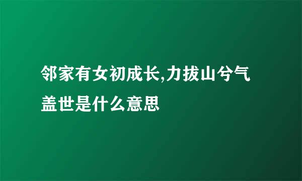 邻家有女初成长,力拔山兮气盖世是什么意思