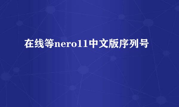 在线等nero11中文版序列号