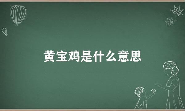 黄宝鸡是什么意思