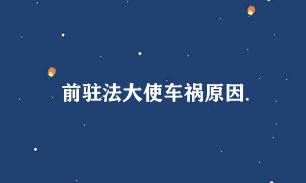 前驻法大使车祸原因