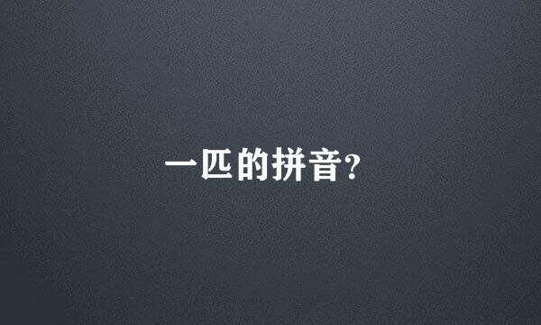 一匹的拼音？