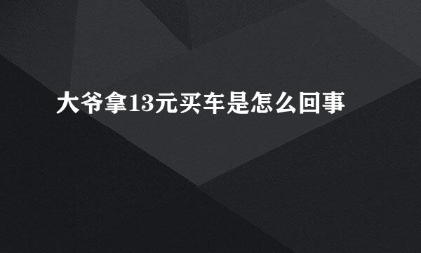 大爷拿13元买车是怎么回事