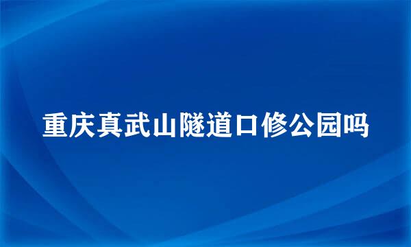 重庆真武山隧道口修公园吗