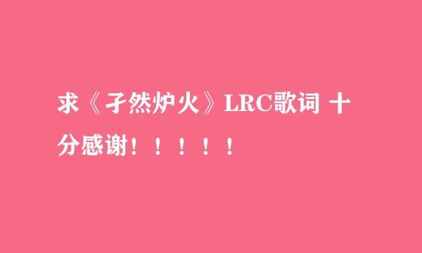 求《孑然炉火》LRC歌词 十分感谢！！！！！