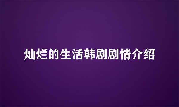 灿烂的生活韩剧剧情介绍