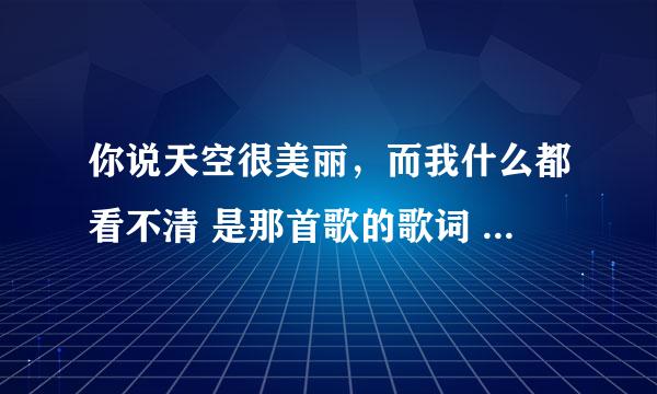 你说天空很美丽，而我什么都看不清 是那首歌的歌词 演唱者是谁