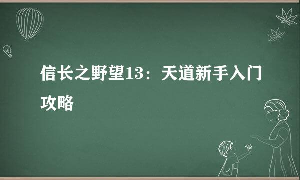 信长之野望13：天道新手入门攻略