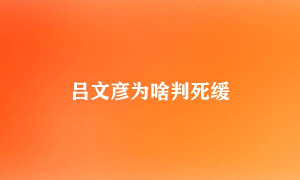 吕文彦为啥判死缓