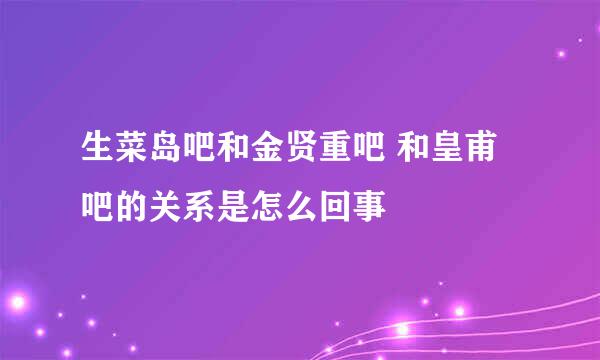 生菜岛吧和金贤重吧 和皇甫吧的关系是怎么回事