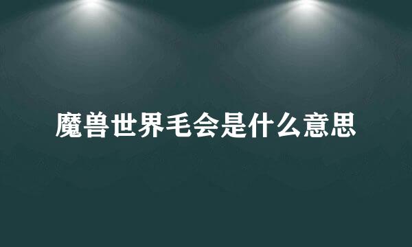 魔兽世界毛会是什么意思