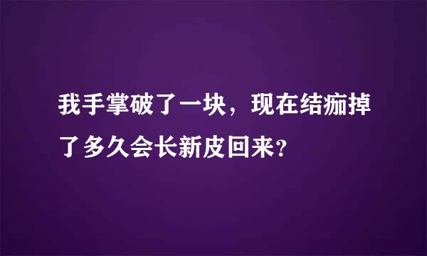 我手掌破了一块，现在结痂掉了多久会长新皮回来？