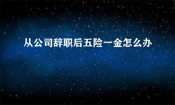 从公司辞职后五险一金怎么办