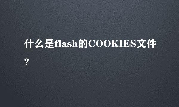 什么是flash的COOKIES文件？