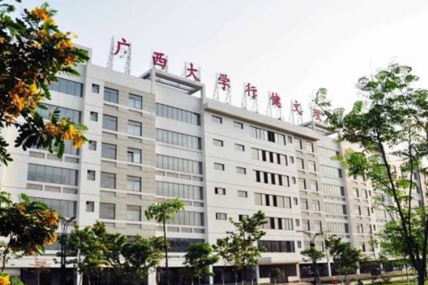 广西大学行健文理学院是二本还是三本