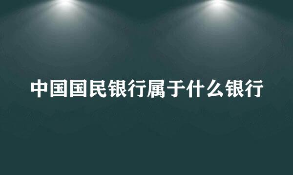 中国国民银行属于什么银行