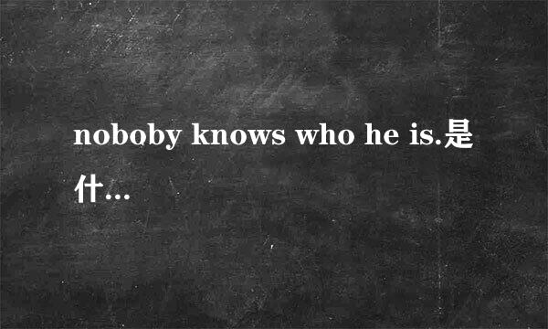 noboby knows who he is.是什么句型？