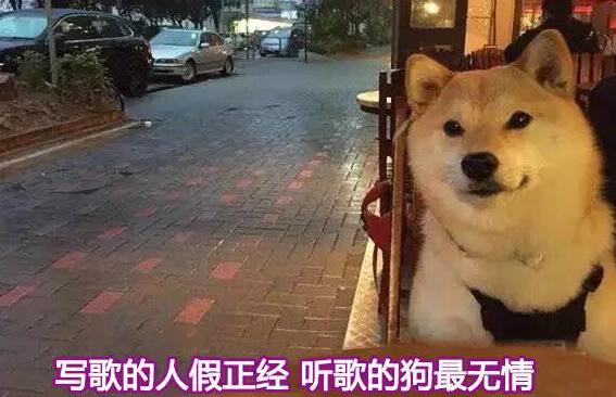 什么叫假正经？