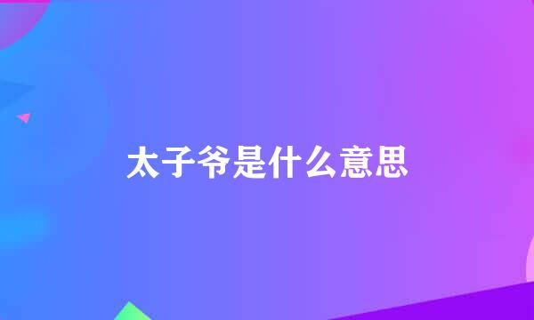 太子爷是什么意思