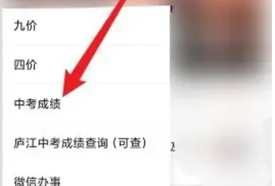 中考成绩怎么查询？