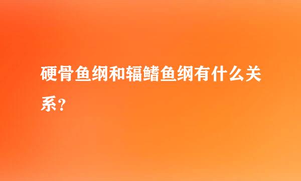 硬骨鱼纲和辐鳍鱼纲有什么关系？