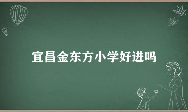 宜昌金东方小学好进吗