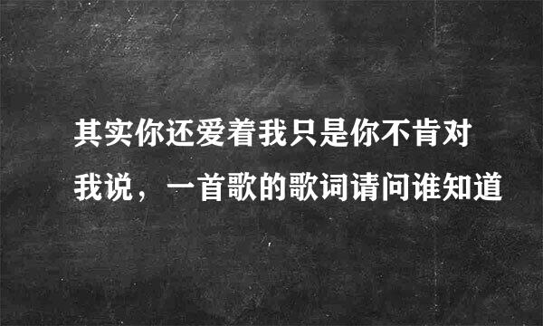 其实你还爱着我只是你不肯对我说，一首歌的歌词请问谁知道