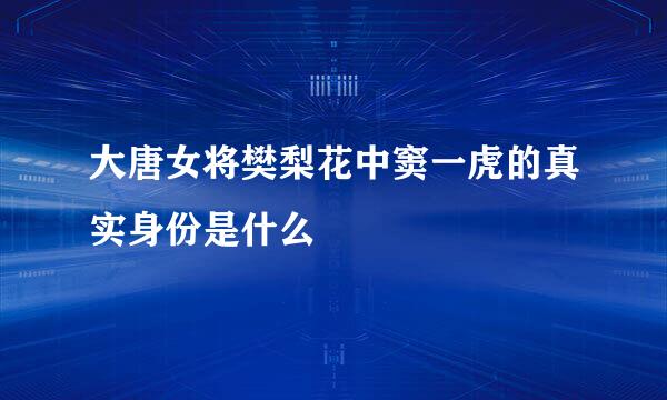 大唐女将樊梨花中窦一虎的真实身份是什么