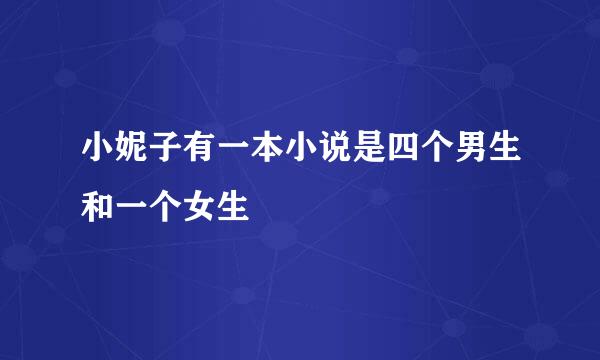 小妮子有一本小说是四个男生和一个女生