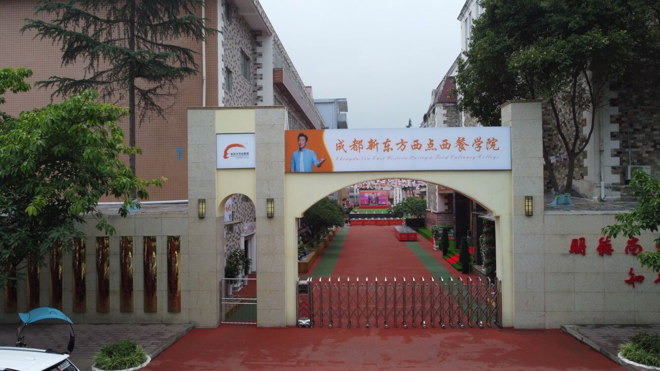 初中毕业后学点什么好呢？