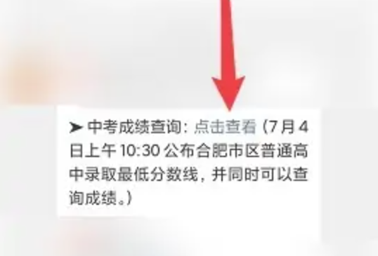 中考成绩怎么查询？