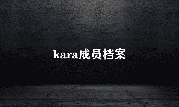 kara成员档案