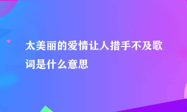 太美丽的爱情让人措手不及歌词是什么意思