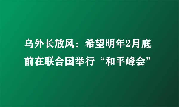 乌外长放风：希望明年2月底前在联合国举行“和平峰会”