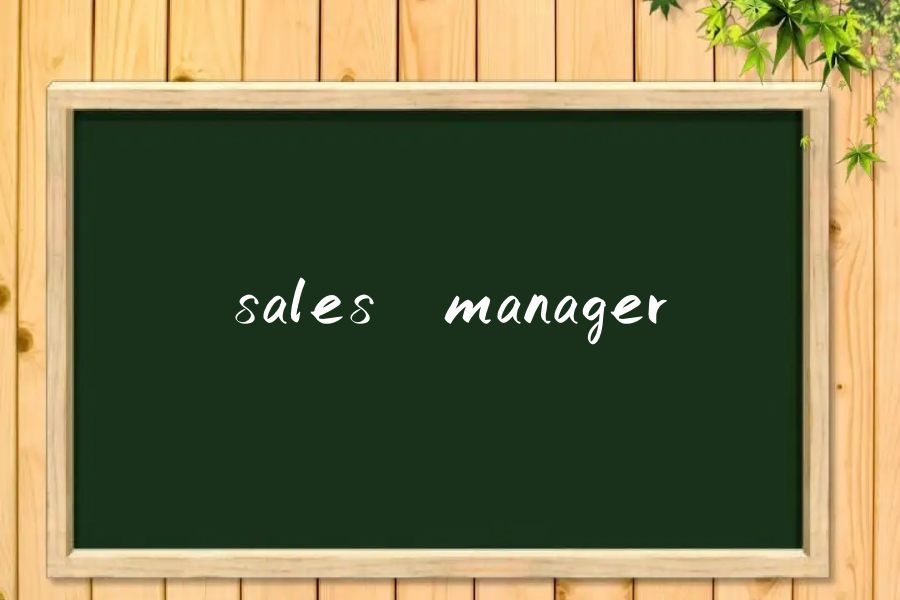 sales manager是什么意思