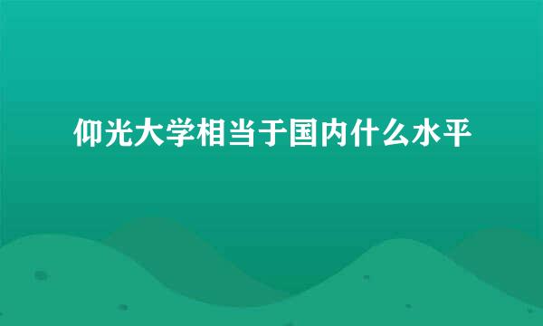 仰光大学相当于国内什么水平