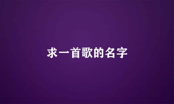 求一首歌的名字