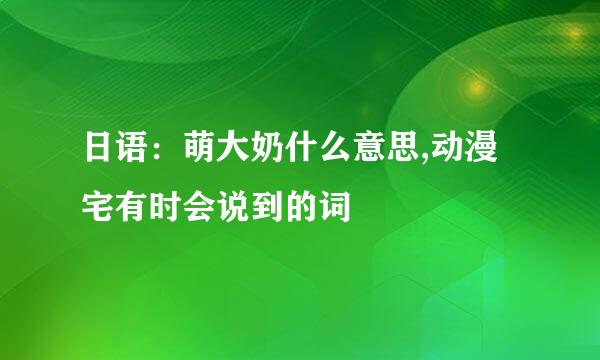 日语：萌大奶什么意思,动漫宅有时会说到的词