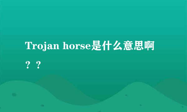 Trojan horse是什么意思啊？？