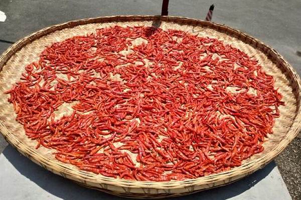 湖南人年均消费辣椒100斤，湖南人为什么那么喜欢吃辣呢？