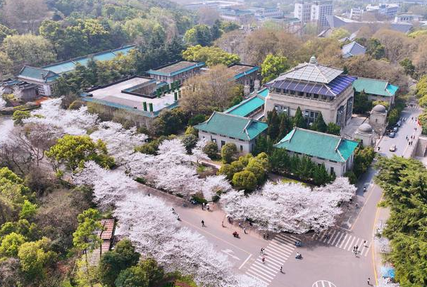 全国排名最好的大学