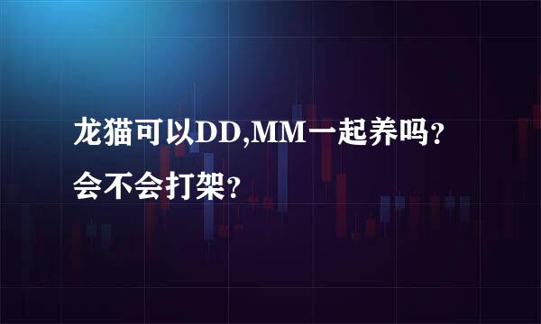 龙猫可以DD,MM一起养吗？会不会打架？