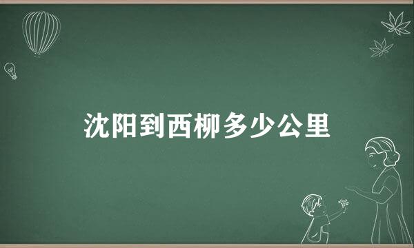 沈阳到西柳多少公里