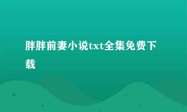 胖胖前妻小说txt全集免费下载