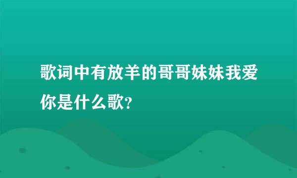 歌词中有放羊的哥哥妹妹我爱你是什么歌？