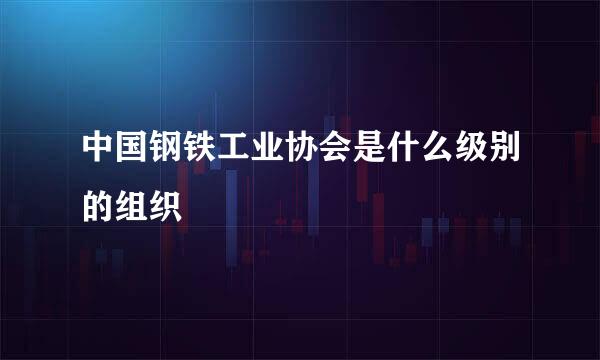 中国钢铁工业协会是什么级别的组织