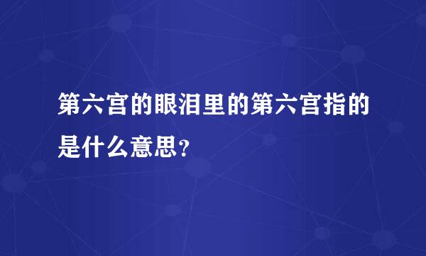 第六宫的眼泪里的第六宫指的是什么意思？